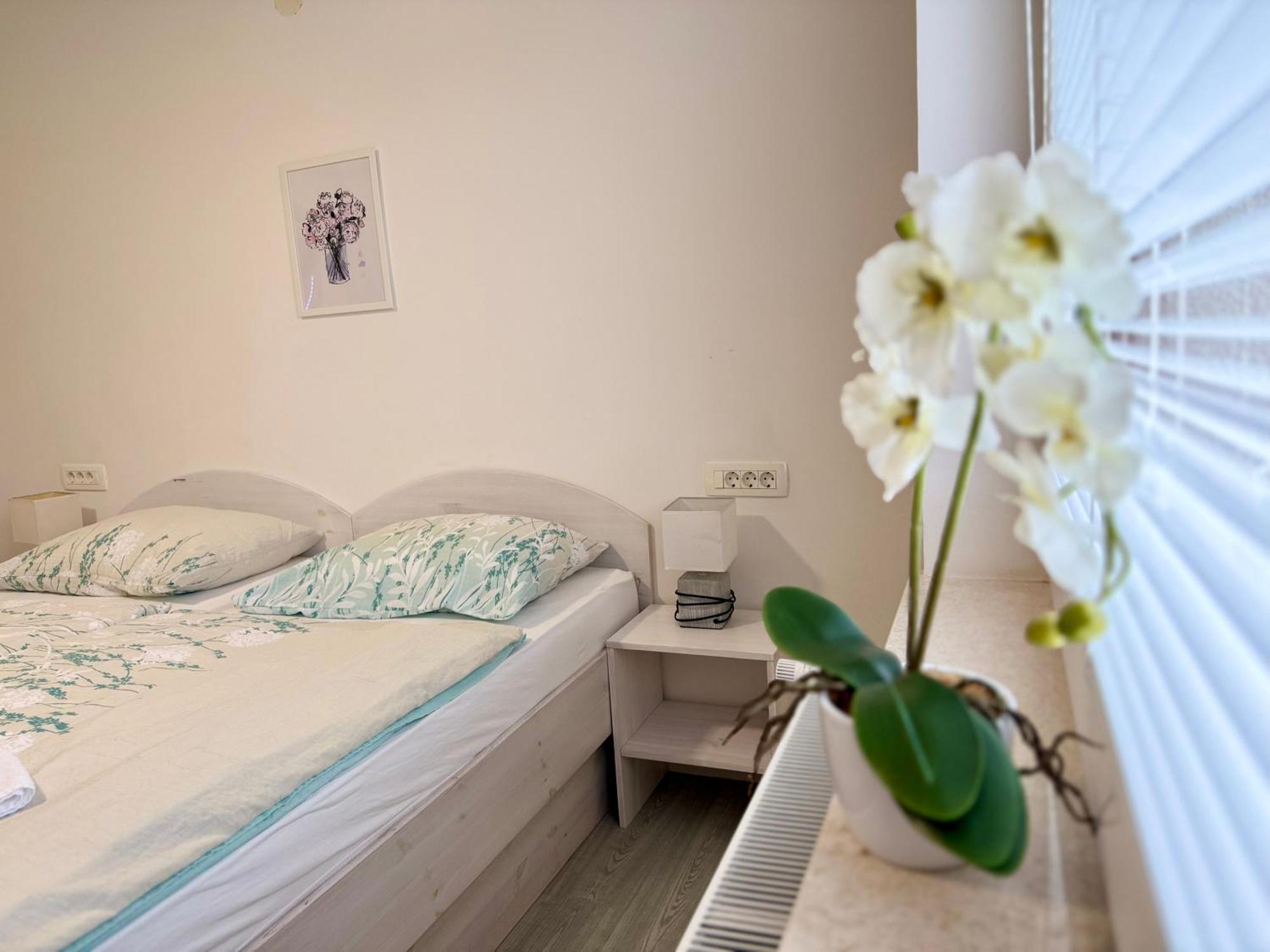 Guest House Kobal Spodnje Gorje Εξωτερικό φωτογραφία